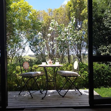 Dangela Boutique Lodge Оукланд Стая снимка